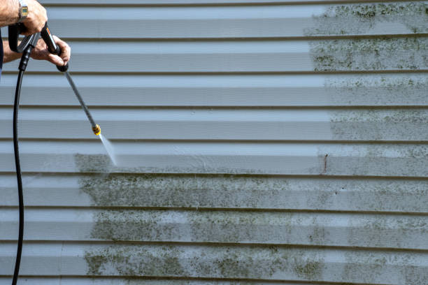 Best Engineered Wood Siding  in Tuskegee, AL