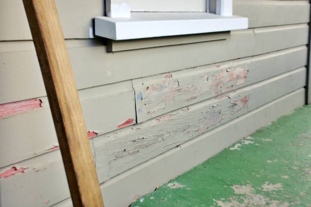 Best Stone Veneer Siding  in Tuskegee, AL
